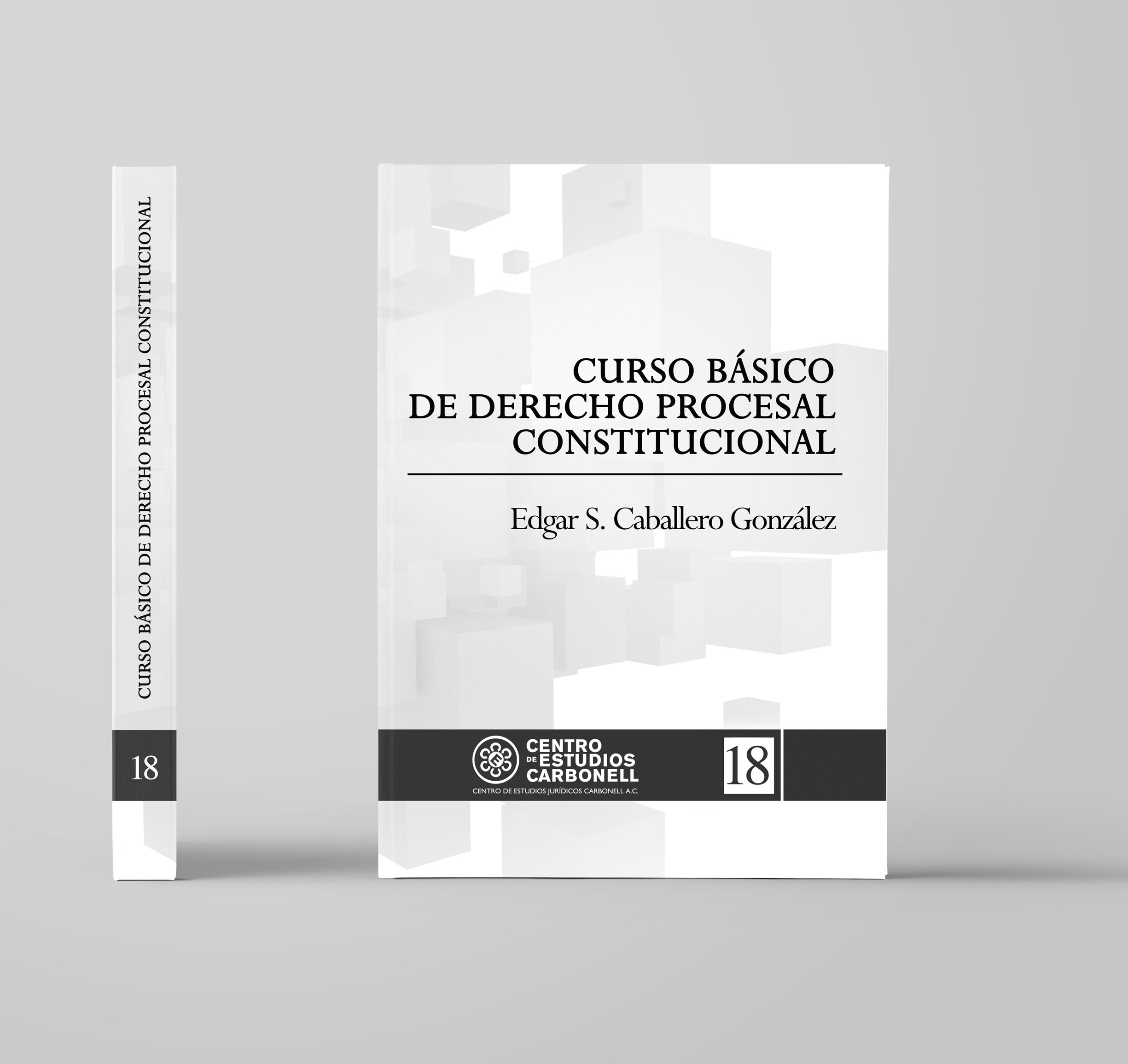 Curso Básico de Derecho Procesal Constitucional