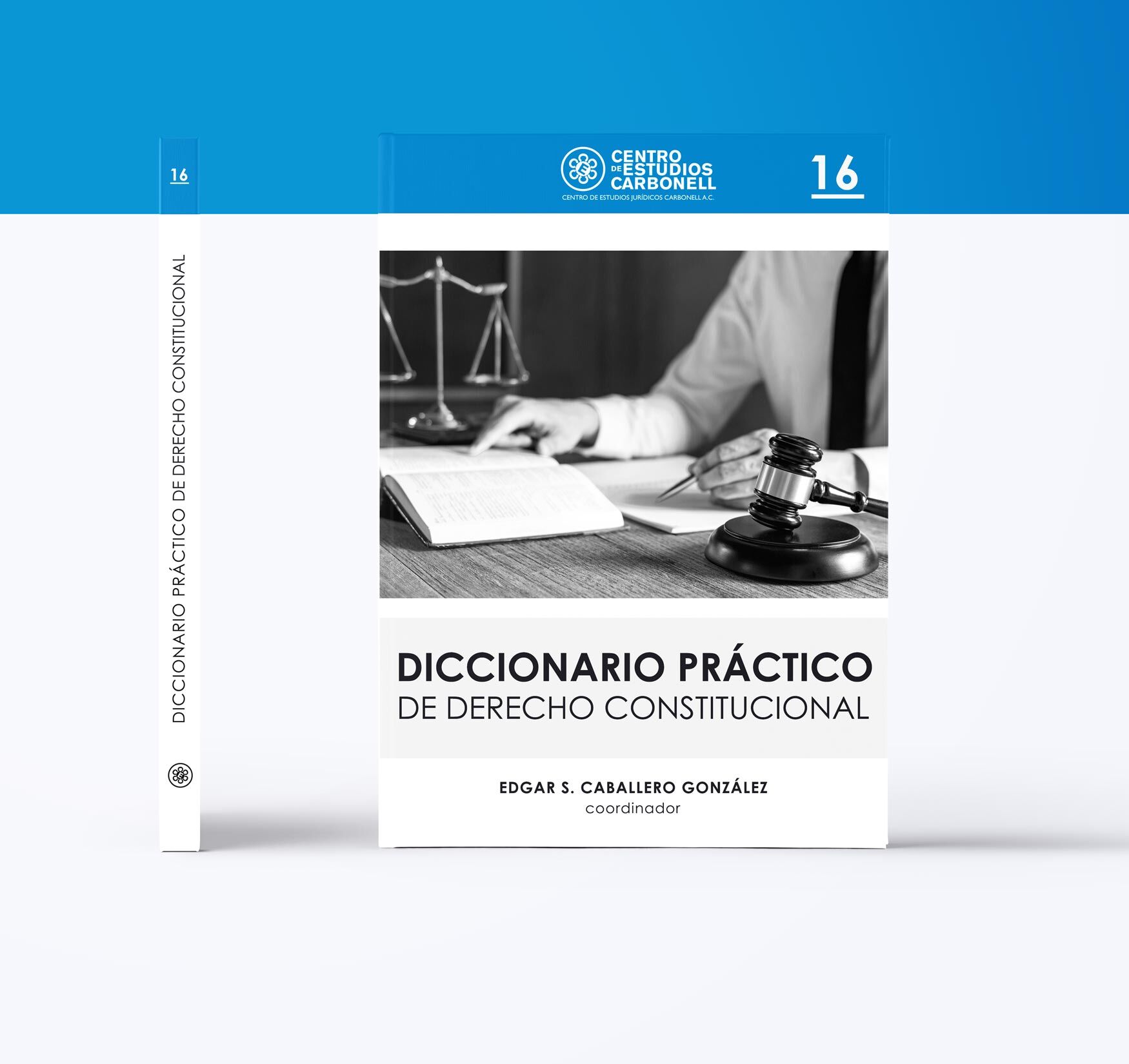 Diccionario práctico de derecho constitucional