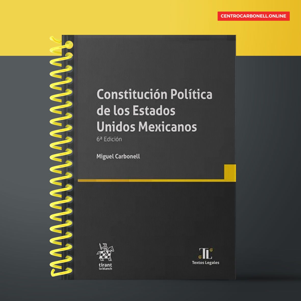 Constitución Política de los Estados Unidos Mexicanos (anillada)
